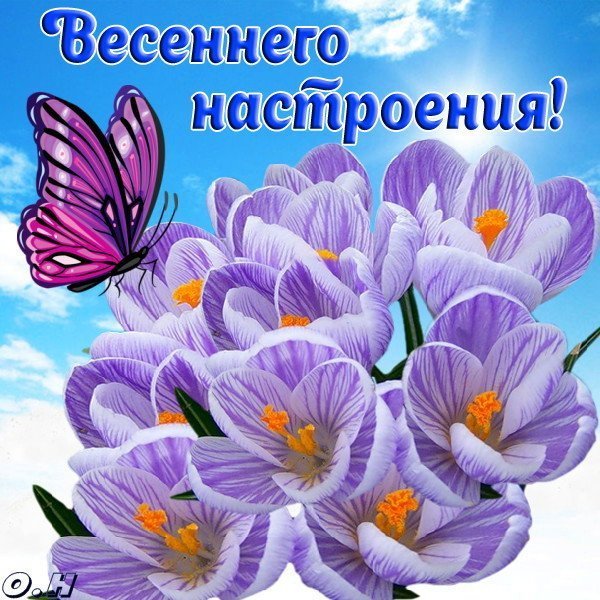 Пожелания весеннего настроения 