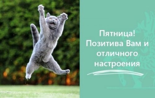 Картинки: “Доброе пятничное утро!”