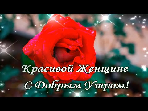 30 лучших пожеланий с добрым утром: красивые, приятные, милые