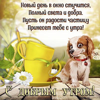 Готовые stories | Новое утро, новые улыбки, новые свежие