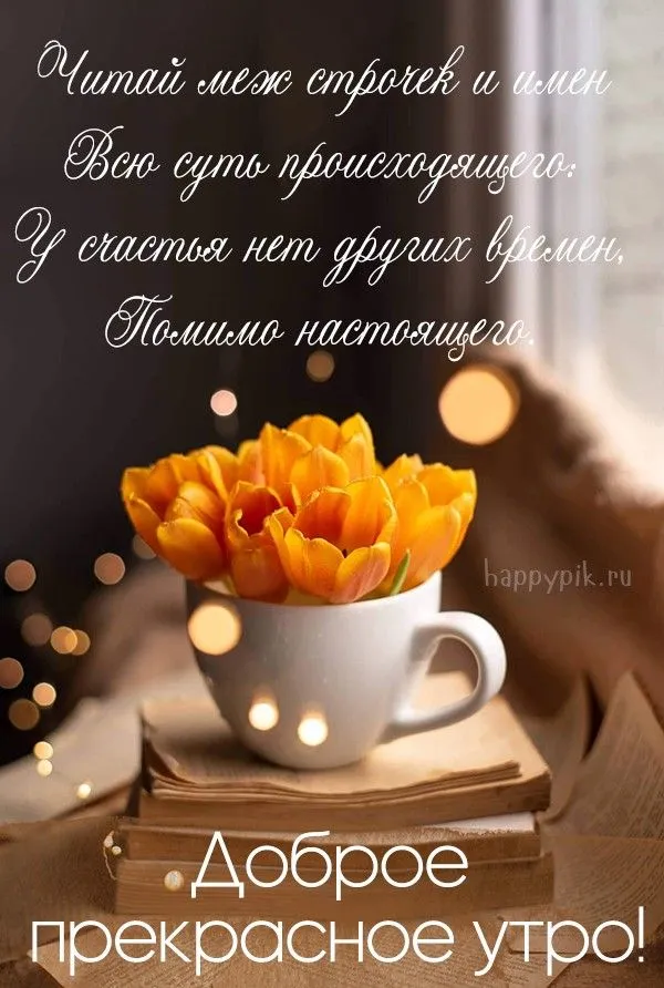 💗☕️Доброе Утро! Хорошего Дня!🌷Для Друзей! Заряд Позитива