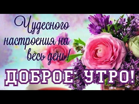 Доброе утро, друзья! Хорошего дня, солнечного настроения, в