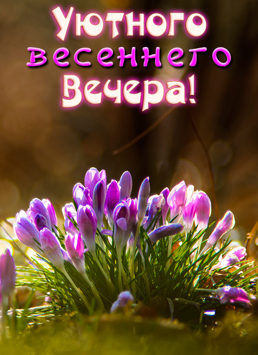 Открытка ДОБРОГО ВЕСЕННЕГО ВЕЧЕРА!