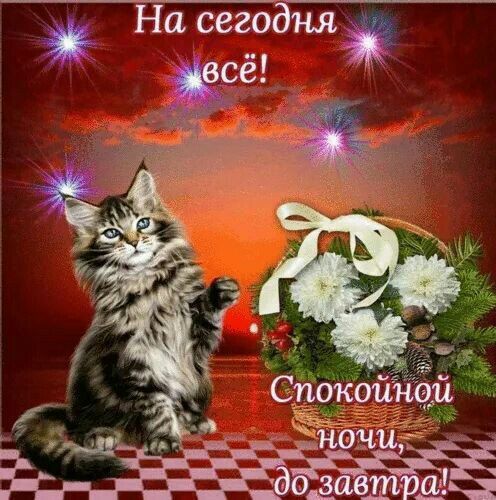 Спокойной ночи