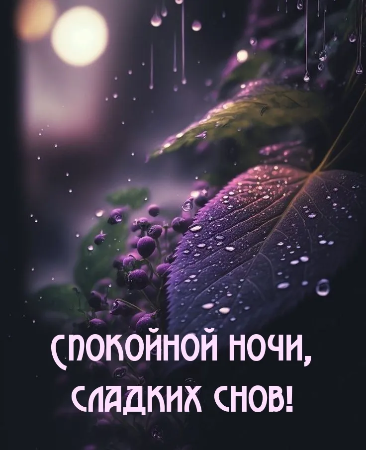 Картинки Спокойной ночи любимому🌙