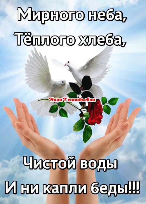 С Добрым утром🌻😘🌻 Мирного неба над головой, счастья