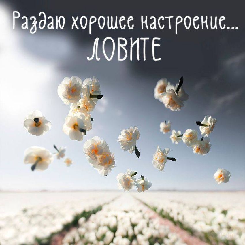 🌺🌿 ЯГОДКИ, ДОБРОЕ УТРО, ОТЛИЧНОГО ДНЯ