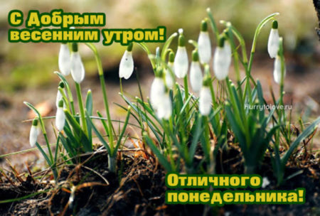 С Добрым Утром!🌺Музыкальная Открытка