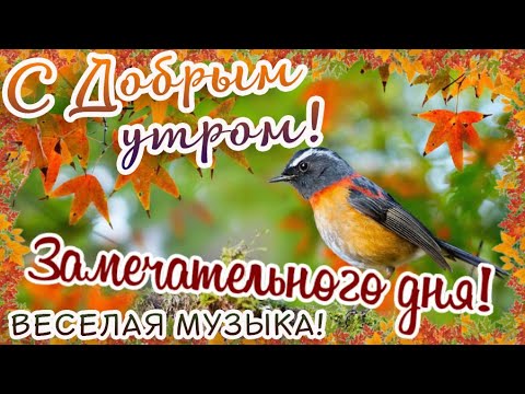 Доброго мирного утра и хорошего дня 