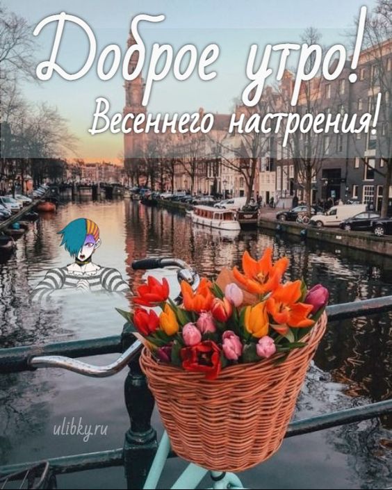 Доброе утро! Прекрасного весеннего настроения! Позитивного дня!