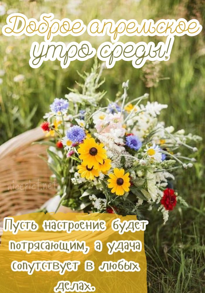 Доброе Утро Хорошо Дня И Хорошего