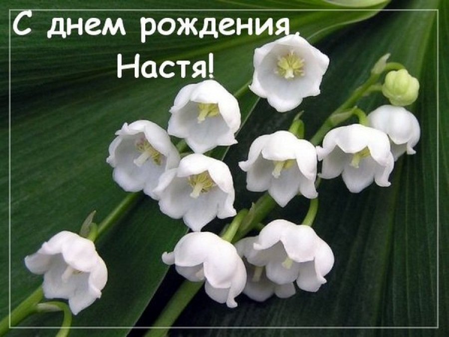 С днем рождения Настя