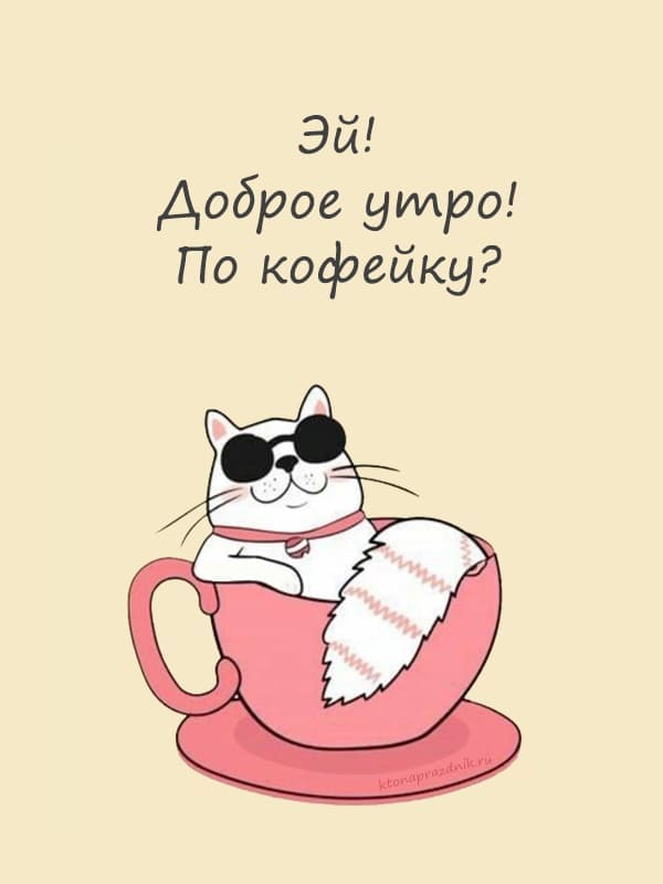 Добрые и смешные истории добрым утром!: alph_cat — LiveJournal