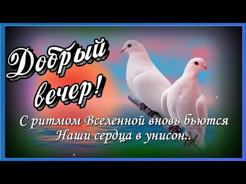 Добрый вечер картинки красивые женщине необычные нежные