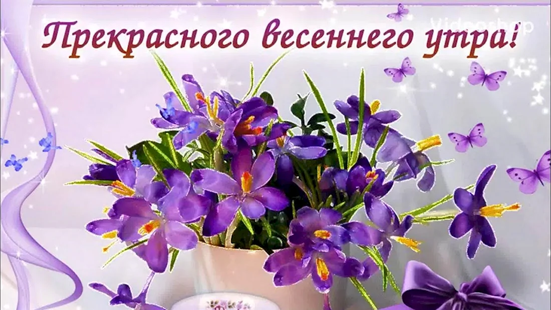 🌷 Хорошего весеннего дня! | Поздравления, пожелания