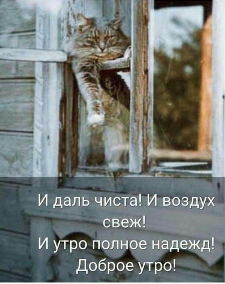 Всем , доброе утро. Несмотря на плохую погоду, у н