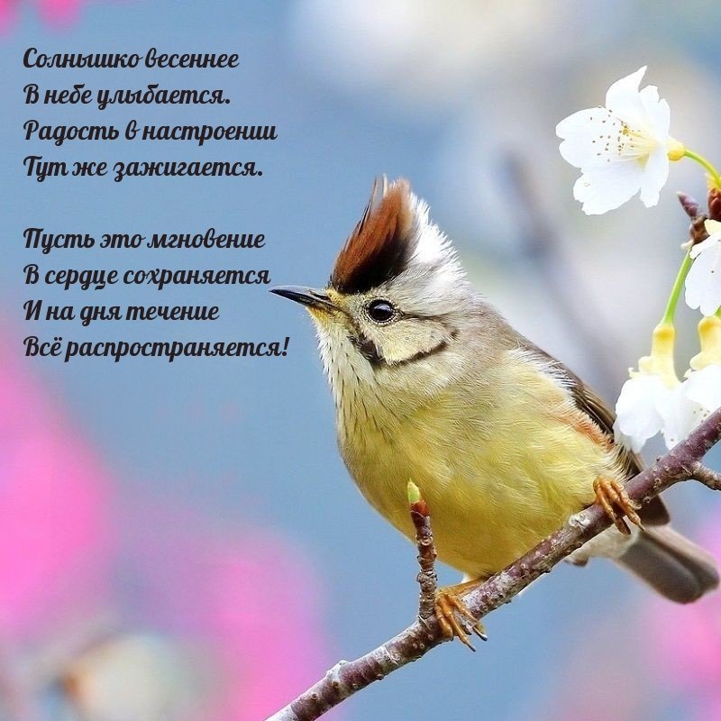 🌞🌼☕Самого доброго весеннего утра!💗Благословенного дня