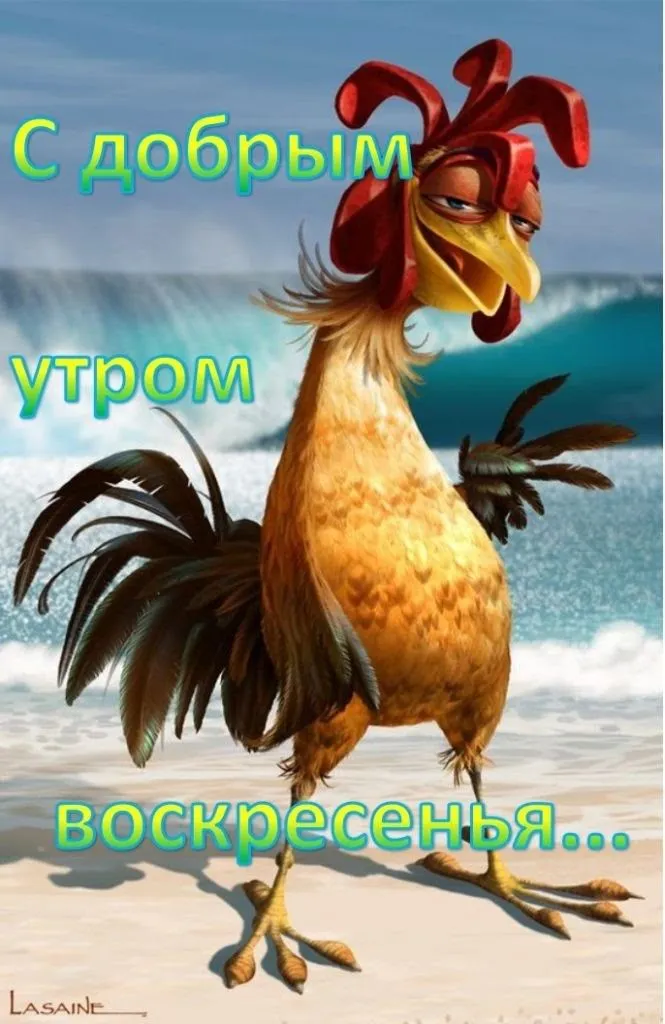 С добрым утром