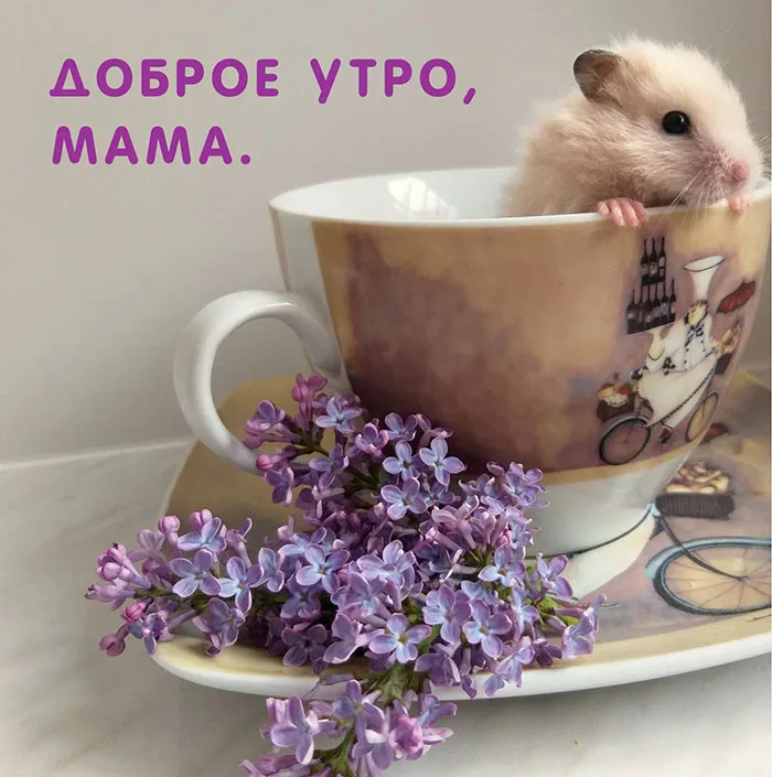 Доброе Утро Маме