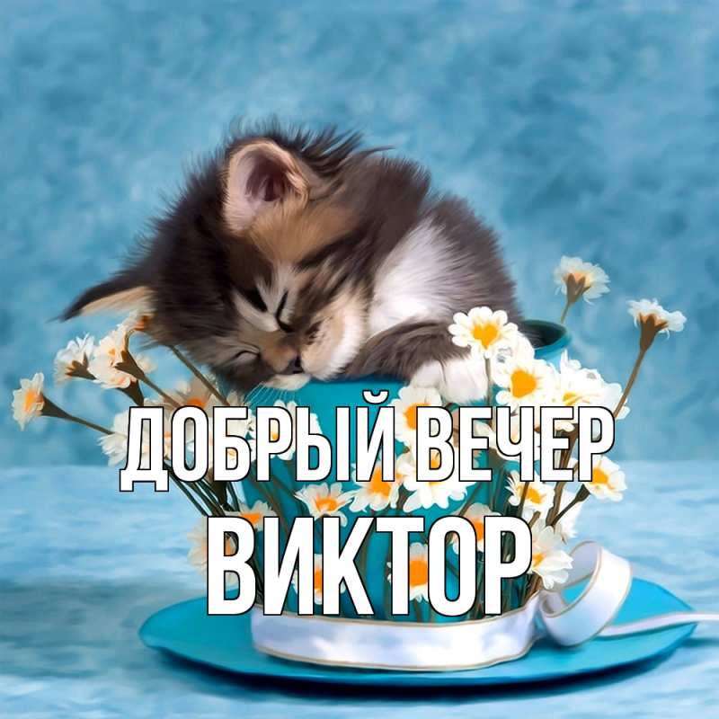 Красивые открытки доброго вечера 