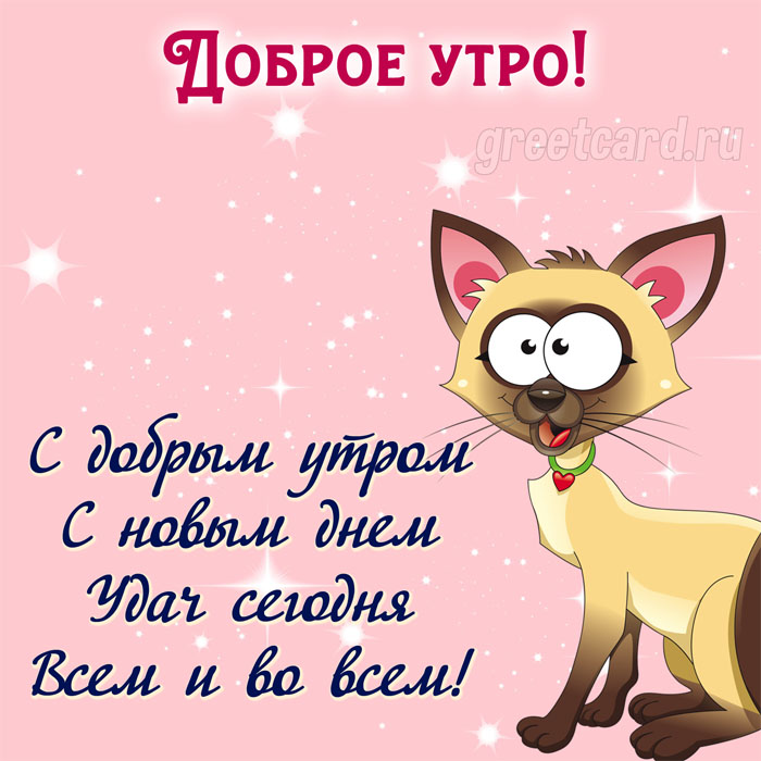 Котик желает самого доброго утра