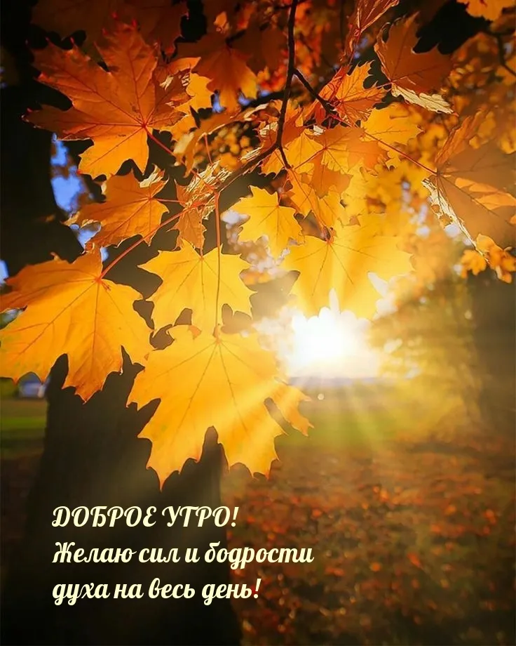 Цветущая природа + озеро + доброе