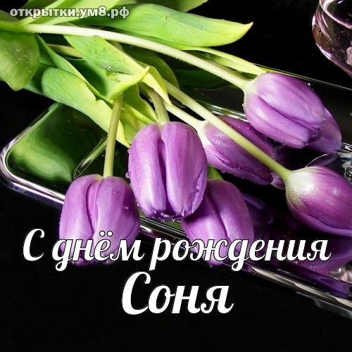 с днем рождения соня