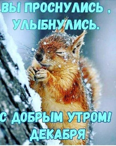 суббота #доброеутро #утро #доброе #11 #декабрь #зима