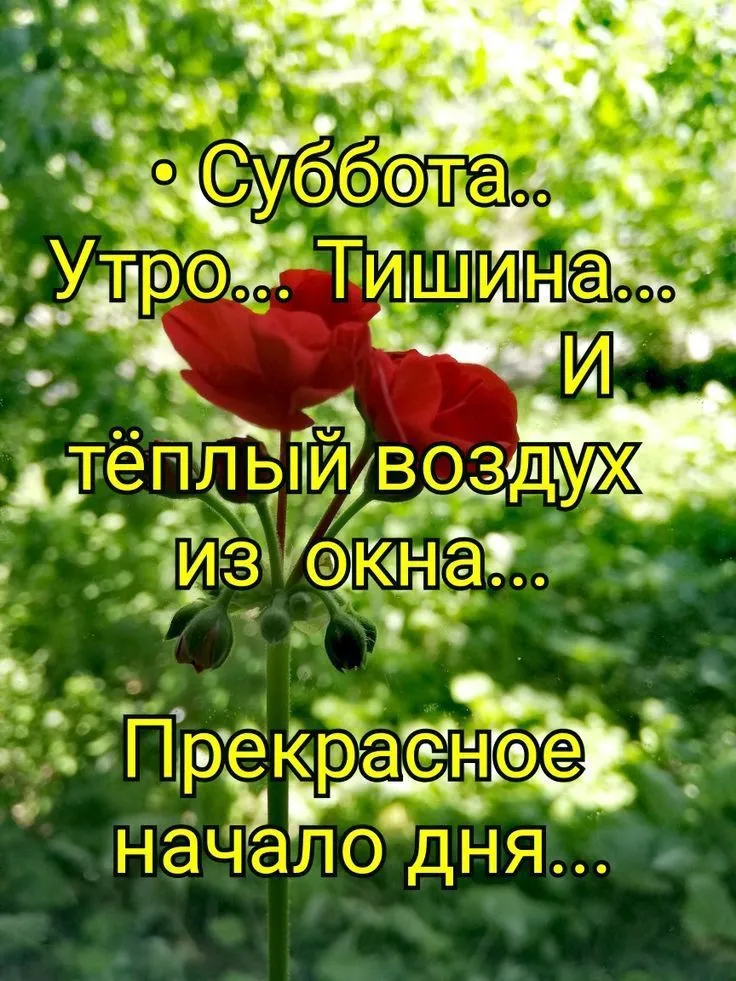 Доброе утро суббота картинки приколы