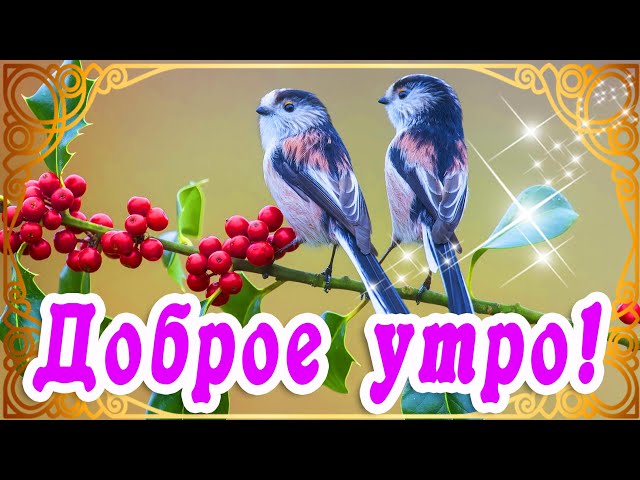 Доброе утро птички картинки