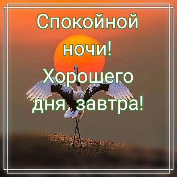 Картинки спокойной ночи здоровья