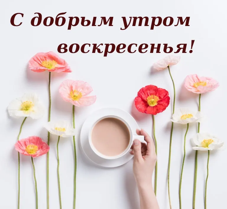 tani_y, posts by tag: доброго утра