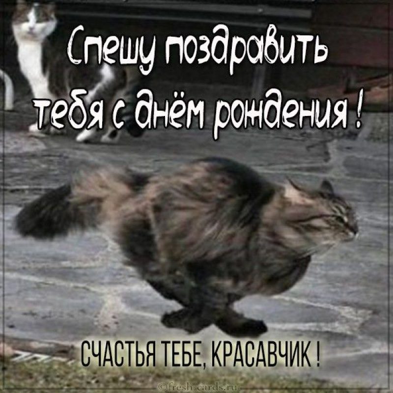 Мемы с Днем Рождения 