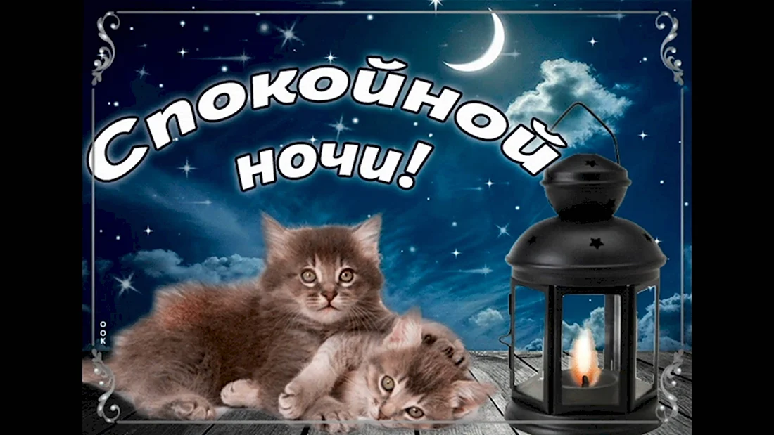 Доброй ночи!