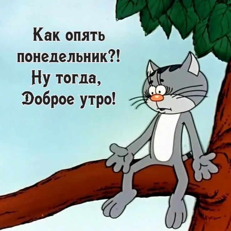 Зевающий кот: фото доброе утро