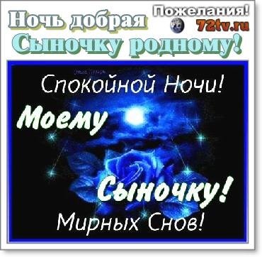 Прикольные пожелания спокойной ночи