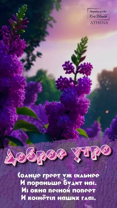 АГС_Утро Доброе утро, дорогие жители АГС! Пусть день будет