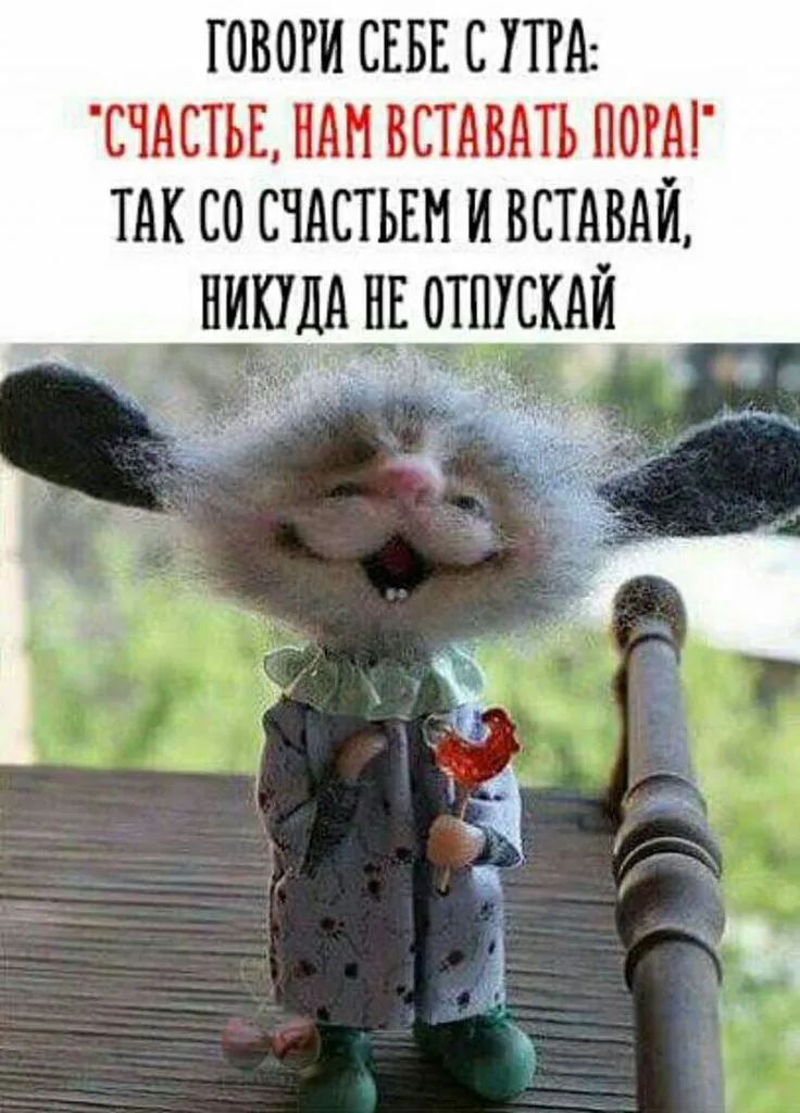 Доброе утро, Друзья! 😊 Улыбнитесь вместе с нами! Желаем вам