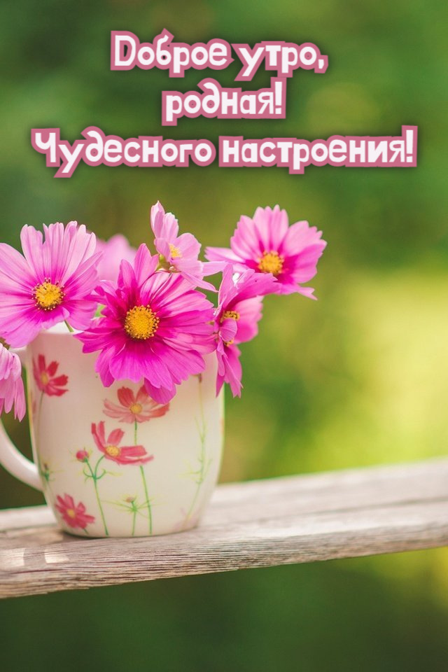 🌹Доброе утречко, Друзья! Прекрасного Вам настроения