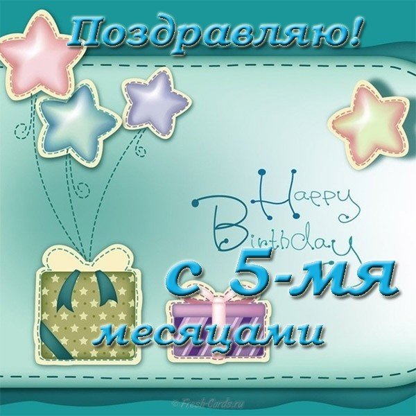 5 месяцев