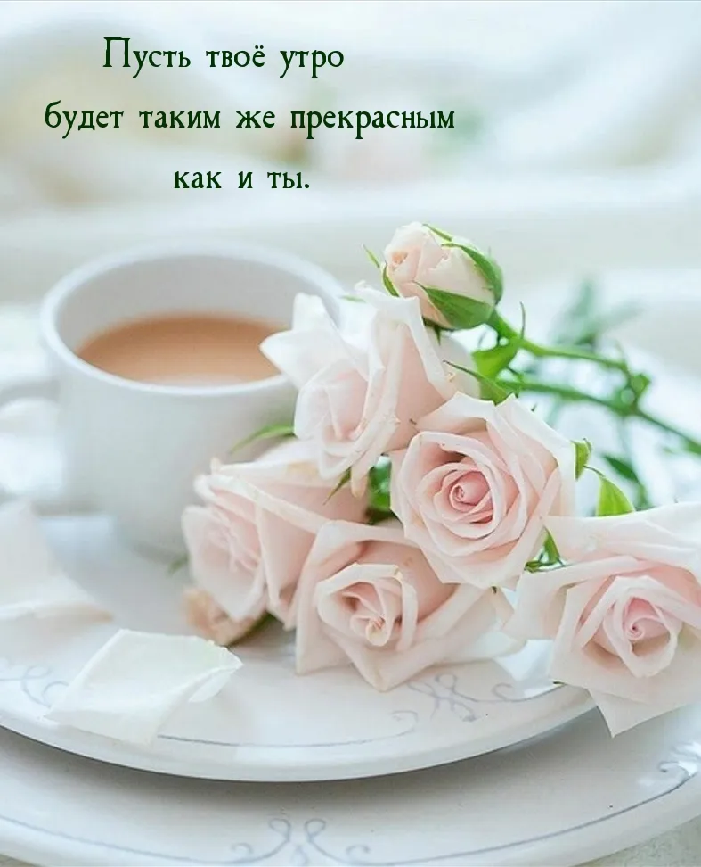 🌹ДОБРОЕ УТРО!🌹 ПРЕКРАСНОЙ ЖЕНЩИНЕ С УТРА! 🌹ДАРЮ КРАСИВЫЕ