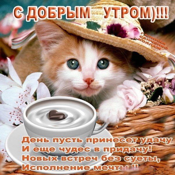 Доброе утро! | OK.RU