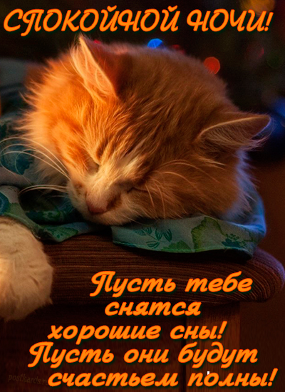 Котик!Сладких снов!