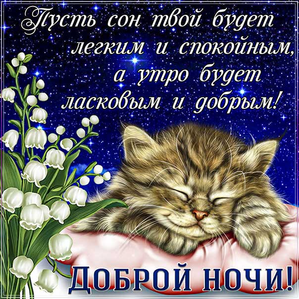 Спокойной ночи !