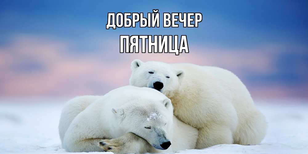 Вечерний снег в пятницу