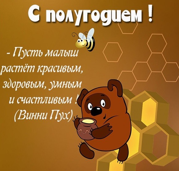 с 6 месяцами