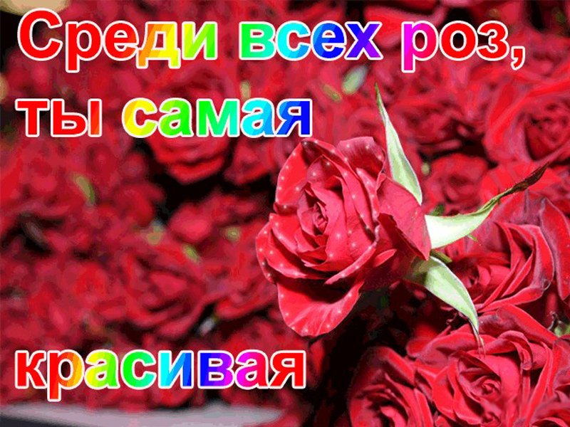 Открытки Самой красивой девушке на свете! 