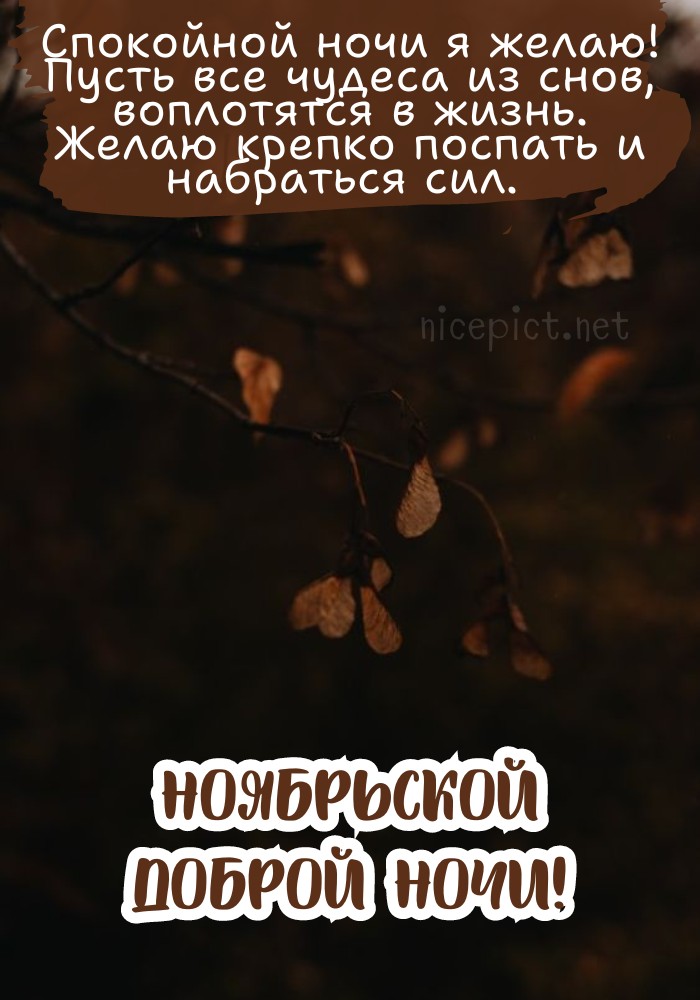 Доброй Ночи Сладких Снов! Пожелание