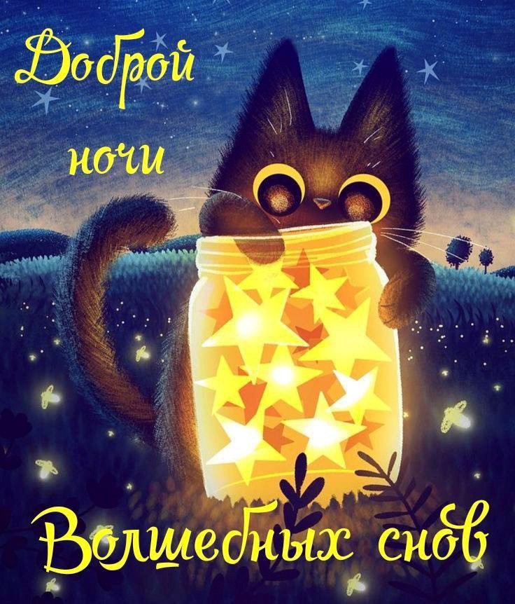 Спокойной ночи