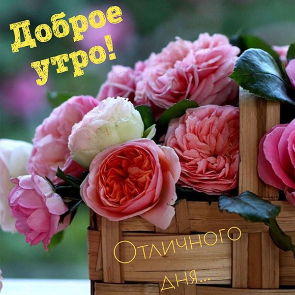 Доброе осеннее утро 